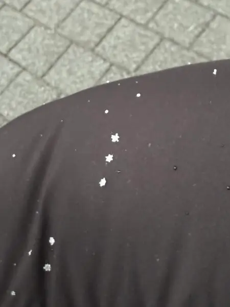雪的形狀